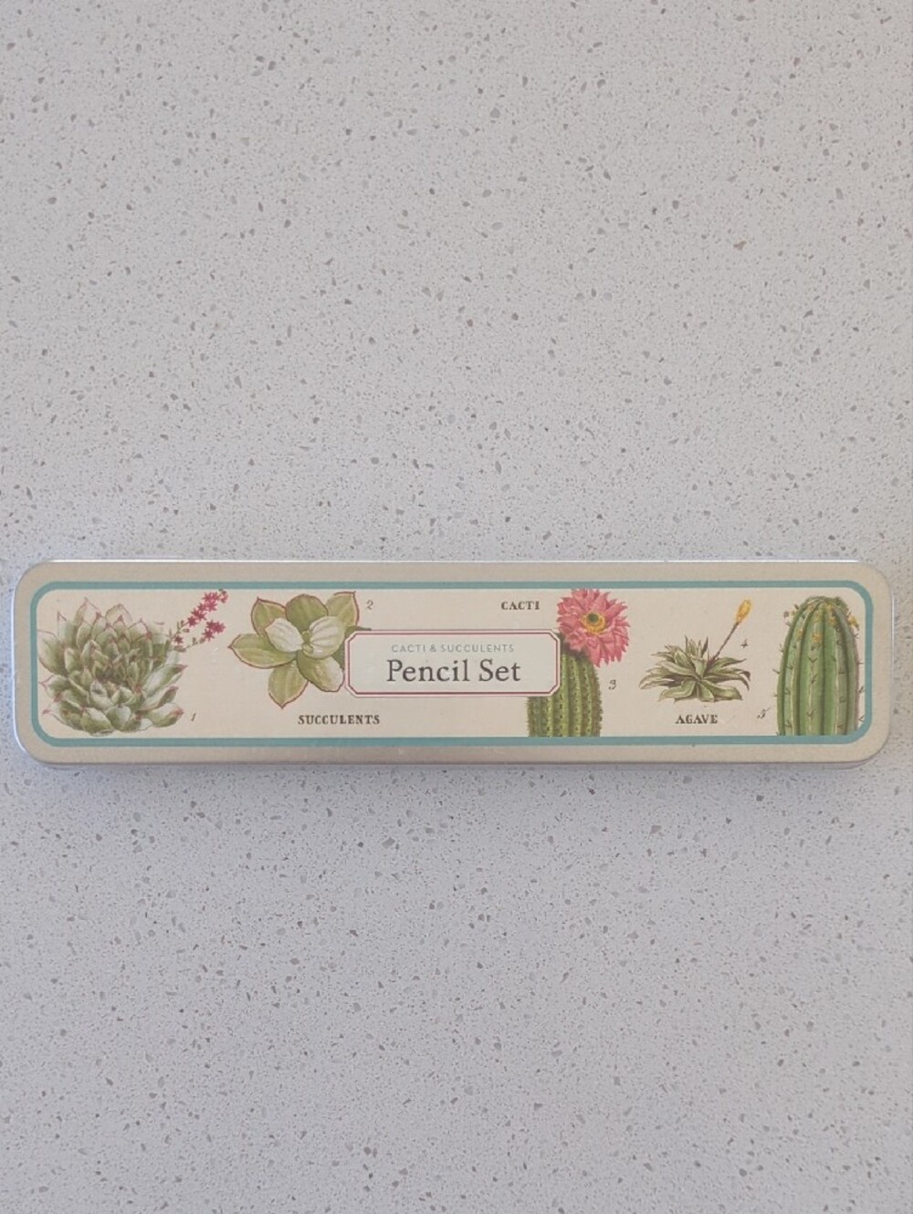 Succulent Pencil Set & Sticky Notes Tin - Floral Green - Picture 3 of 9